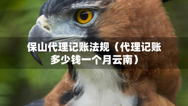 保山代理记账法规（代理记账多少钱一个月云南）
