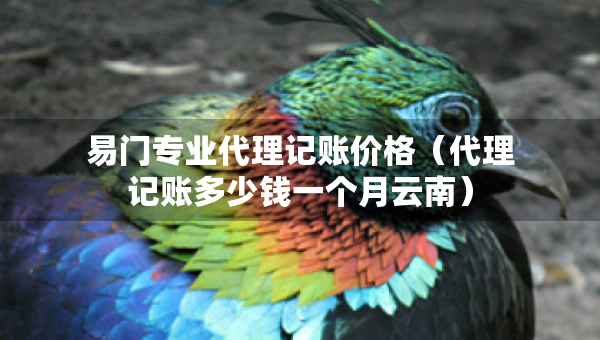 易门专业代理记账价格（代理记账多少钱一个月云南）