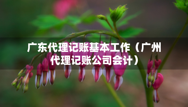 广东代理记账基本工作（广州代理记账公司会计）