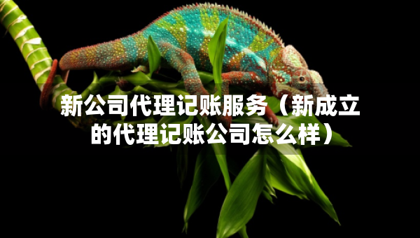 新公司代理记账服务（新成立的代理记账公司怎么样）