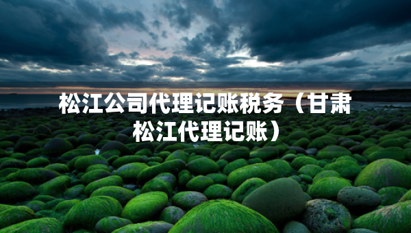 松江公司代理记账税务（甘肃松江代理记账）