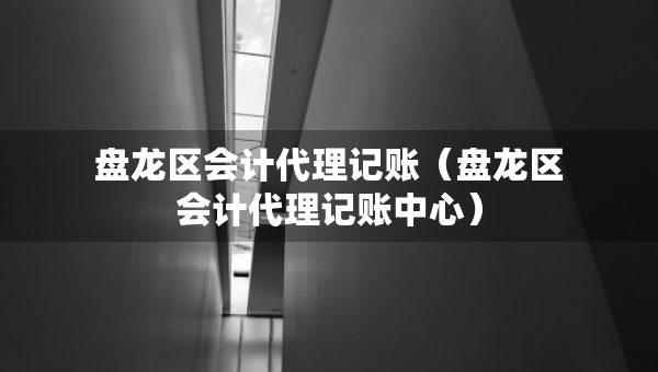 盘龙区会计代理记账（盘龙区会计代理记账中心）