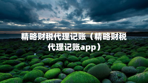 精略财税代理记账（精略财税代理记账app）