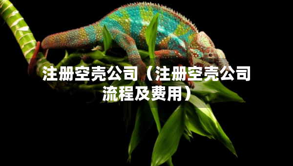 注册空壳公司（注册空壳公司流程及费用）