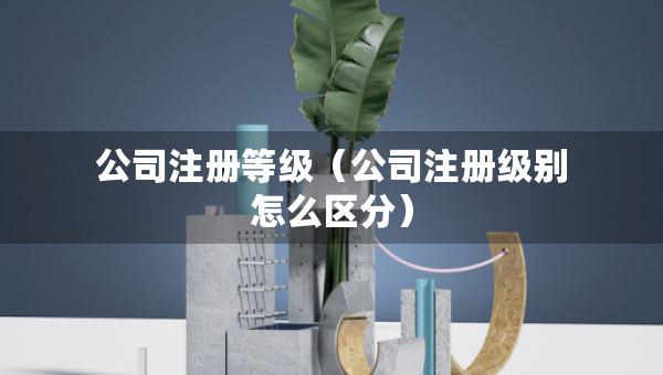 公司注册等级（公司注册级别怎么区分）