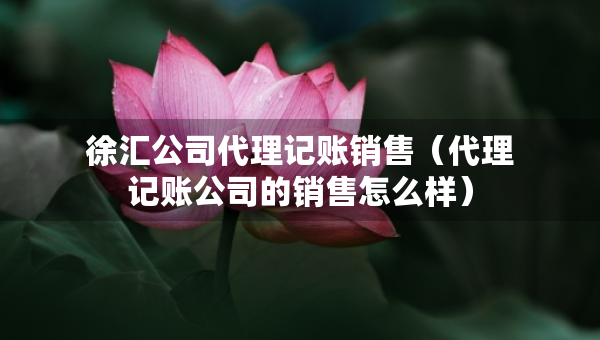 徐汇公司代理记账销售（代理记账公司的销售怎么样）