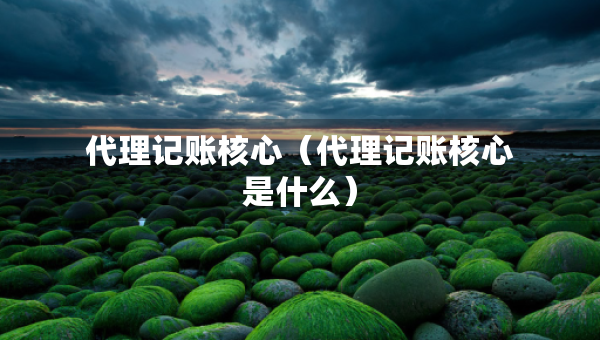 代理记账核心（代理记账核心是什么）