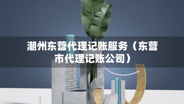 潮州东营代理记账服务（东营市代理记账公司）