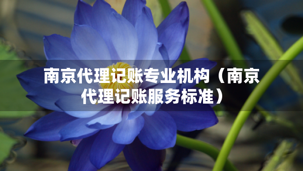 南京代理记账专业机构（南京代理记账服务标准）