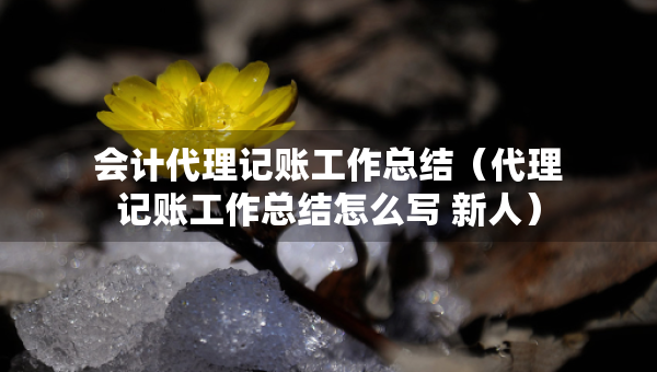 会计代理记账工作总结(代理记账工作总结怎么写 新人) 会计代理记账工作总结(代理记账工作总结怎么写 新人)