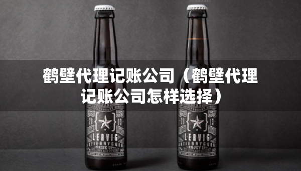 鹤壁代理记账公司（鹤壁代理记账公司怎样选择）