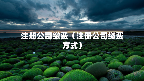 注册公司缴费（注册公司缴费方式）