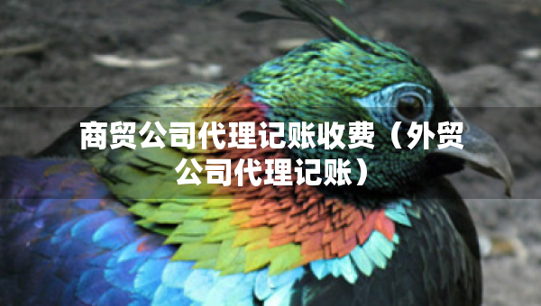 商贸公司代理记账收费（外贸公司代理记账）