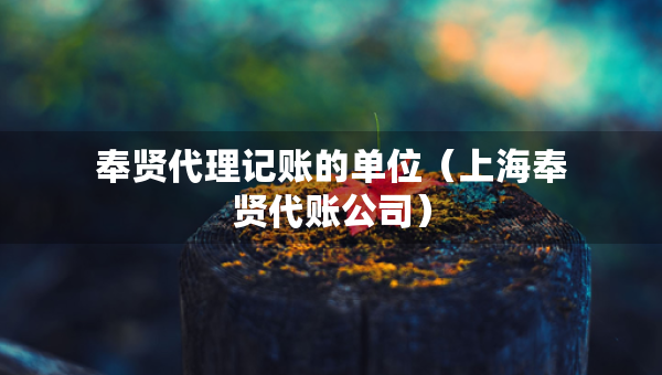 奉贤代理记账的单位（上海奉贤代账公司）
