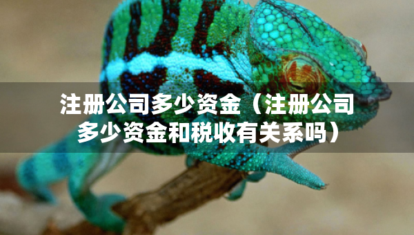 注册公司多少资金（注册公司多少资金和税收有关系吗）