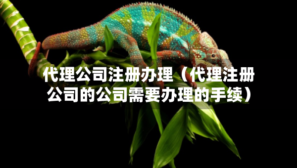 代理公司注册办理（代理注册公司的公司需要办理的手续）