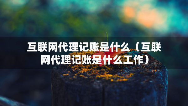 互联网代理记账是什么（互联网代理记账是什么工作）