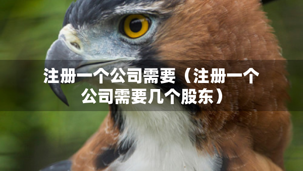 注册一个公司需要（注册一个公司需要几个股东）