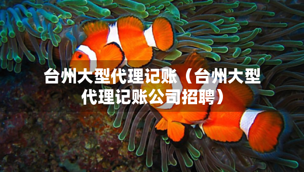 台州大型代理记账（台州大型代理记账公司招聘）