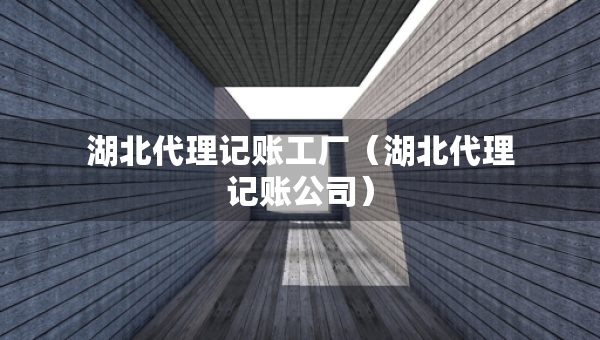 湖北代理记账工厂（湖北代理记账公司）