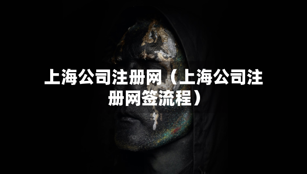 上海公司注册网（上海公司注册网签流程）