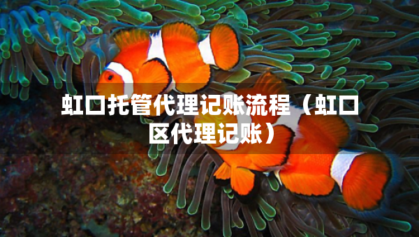 虹口托管代理记账流程（虹口区代理记账）