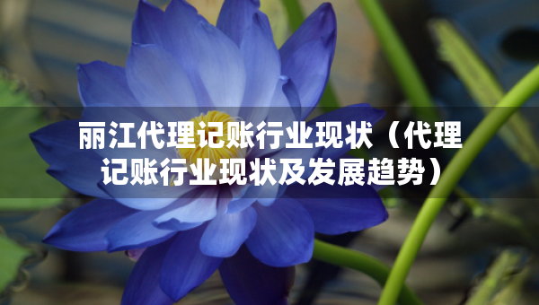 丽江代理记账行业现状（代理记账行业现状及发展趋势）