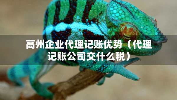 高州企业代理记账优势（代理记账公司交什么税）