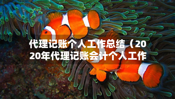 代理记账个人工作总结（2020年代理记账会计个人工作总结）