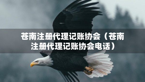 苍南注册代理记账协会（苍南注册代理记账协会电话）
