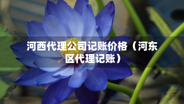 河西代理公司记账价格（河东区代理记账）