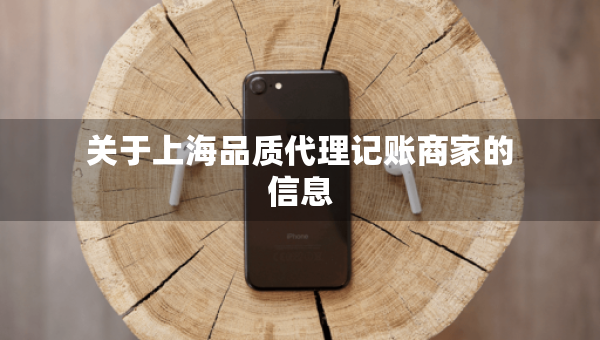 关于上海品质代理记账商家的信息