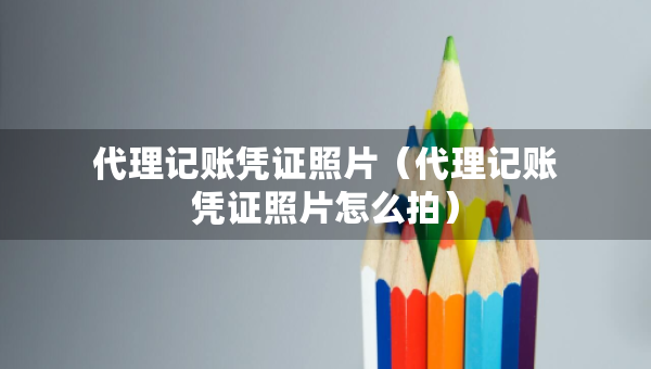 代理记账凭证照片（代理记账凭证照片怎么拍）