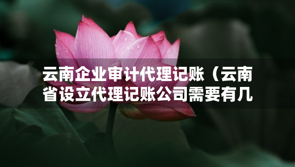 云南企业审计代理记账（云南省设立代理记账公司需要有几个人）