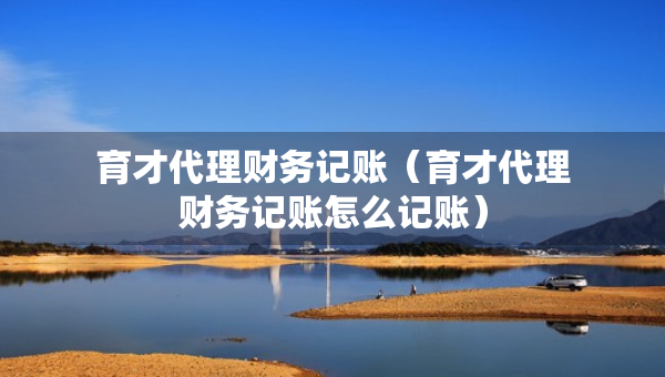 育才代理财务记账（育才代理财务记账怎么记账）