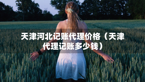 天津河北记账代理价格（天津代理记账多少钱）