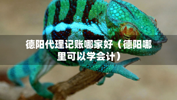 德阳代理记账哪家好（德阳哪里可以学会计）