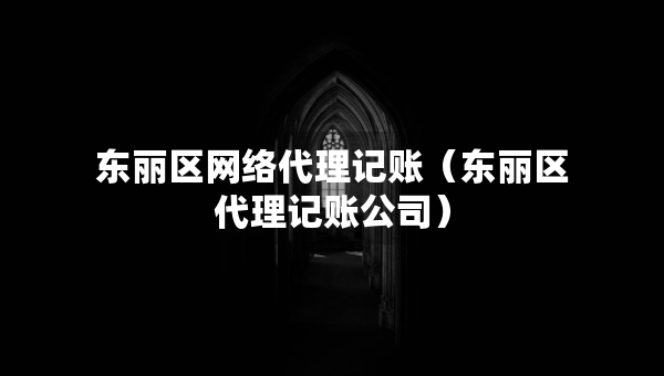东丽区网络代理记账（东丽区代理记账公司）