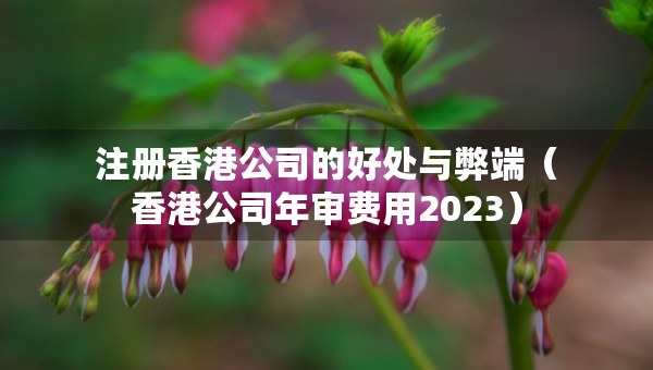 注册香港公司的好处与弊端（香港公司年审费用2023）