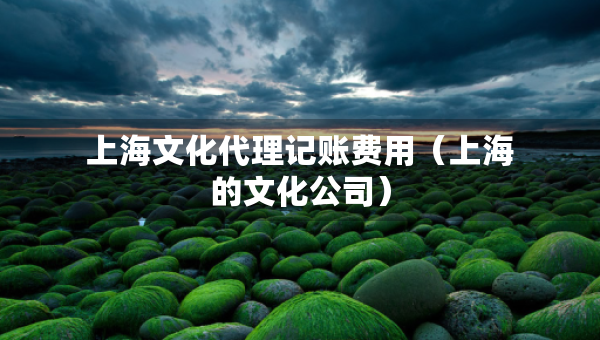 上海文化代理记账费用（上海的文化公司）
