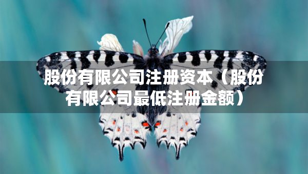 股份有限公司注册资本（股份有限公司最低注册金额）
