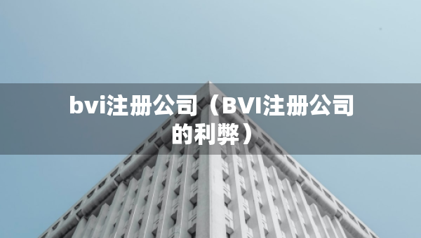 bvi注册公司（BVI注册公司的利弊）