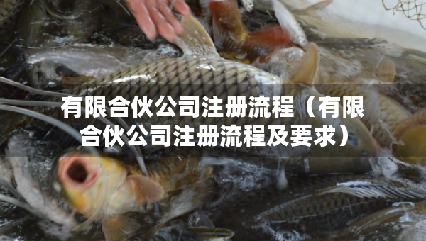 有限合伙公司注册流程（有限合伙公司注册流程及要求）