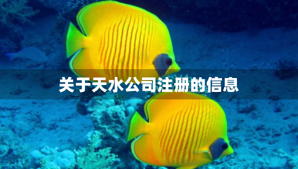 关于天水公司注册的信息