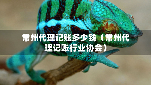 常州代理记账多少钱（常州代理记账行业协会）
