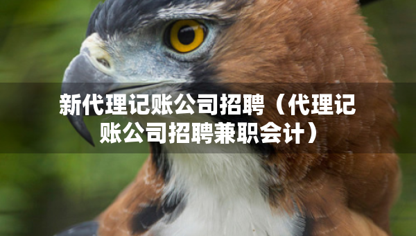 新代理记账公司招聘（代理记账公司招聘兼职会计）