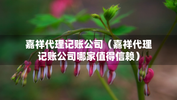 嘉祥代理记账公司（嘉祥代理记账公司哪家值得信赖）