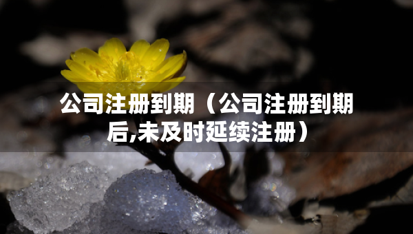 公司注册到期（公司注册到期后,未及时延续注册）