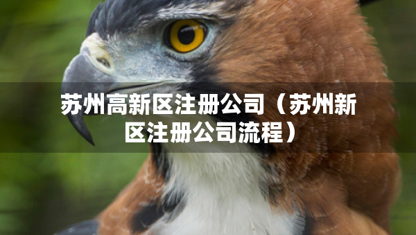 苏州高新区注册公司（苏州新区注册公司流程）