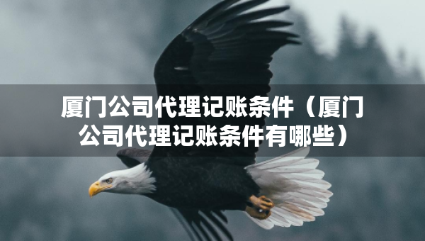 厦门公司代理记账条件（厦门公司代理记账条件有哪些）